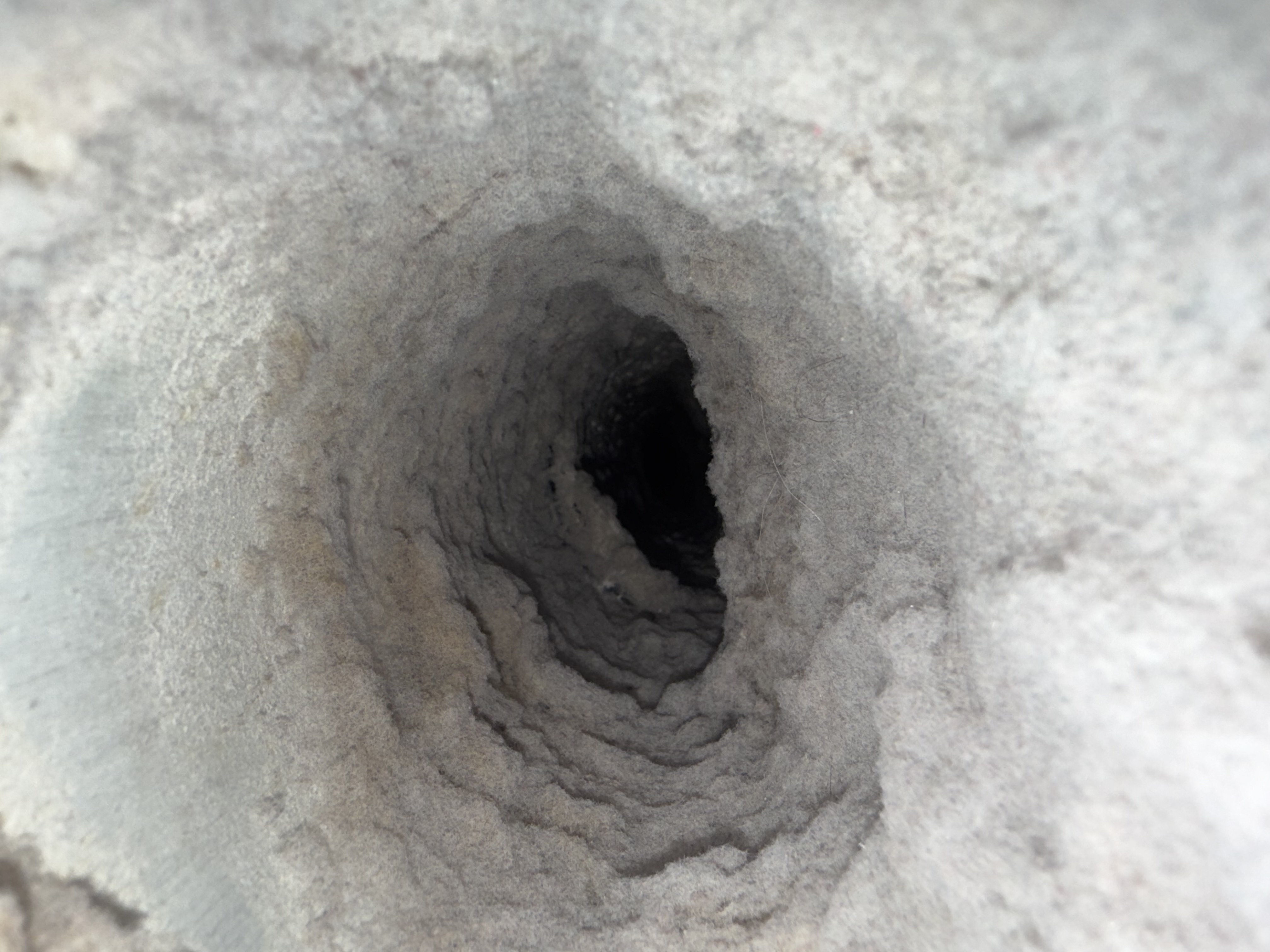 Dryer Vent Cleaning