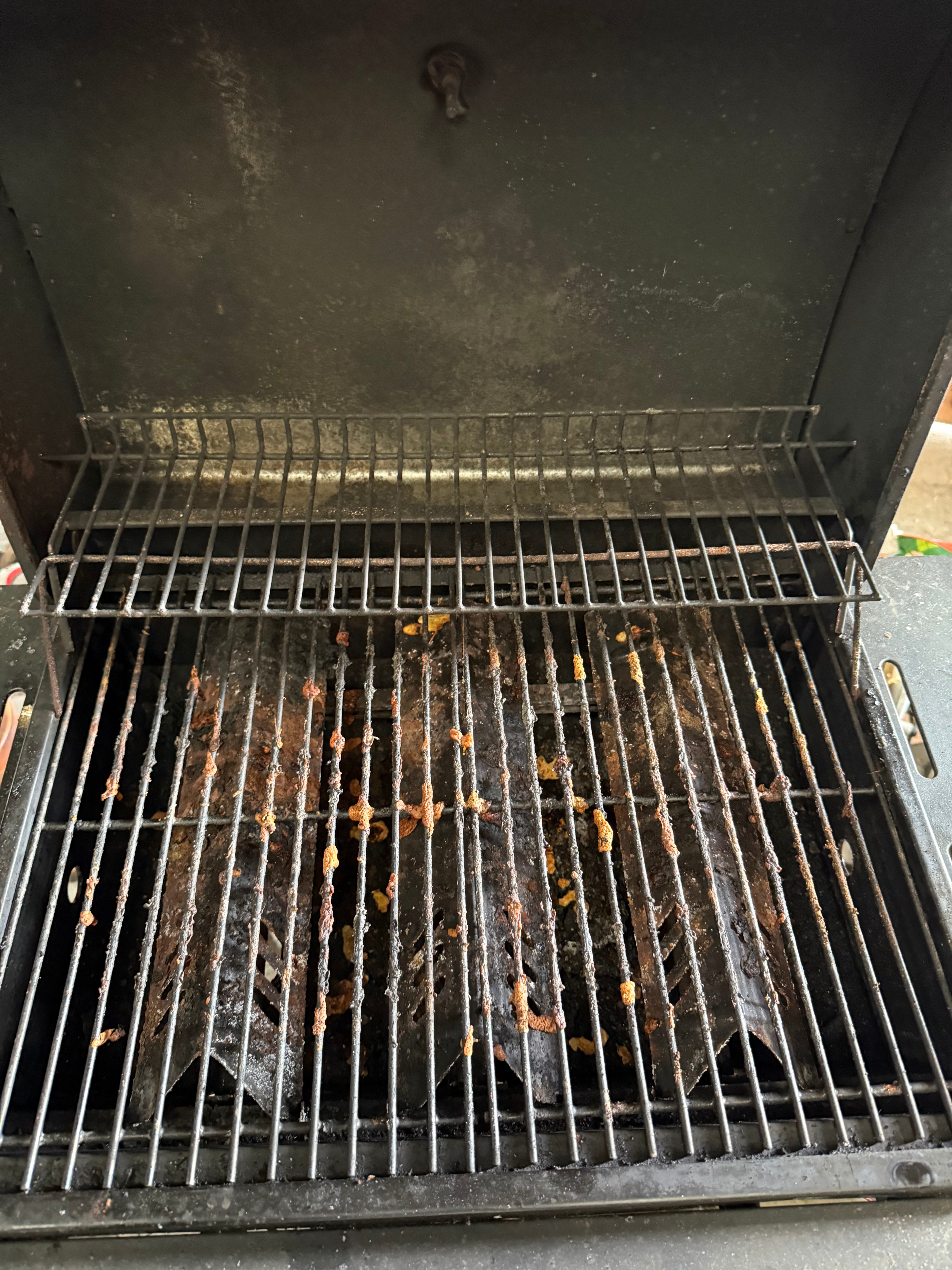 Grill Cleaning